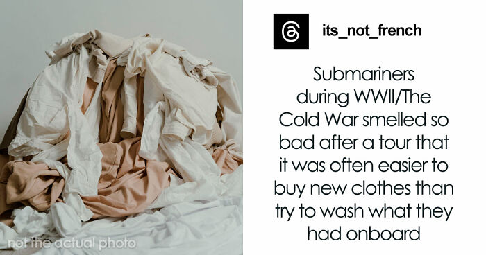 48 Museum Employees Share The Coolest Facts And Experiences From Their Career