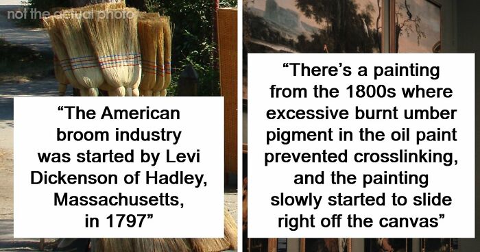 48 Museum Employees Share The Coolest Facts And Experiences From Their Career