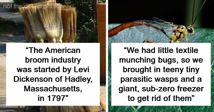 48 Museum Employees Share The Coolest Facts And Experiences From Their Career