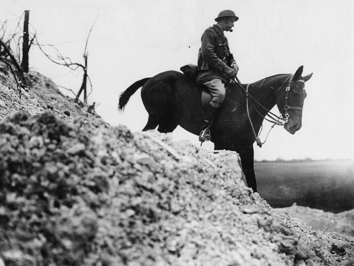 51 Common History “Facts” That Turn Out To Be Total Misconceptions