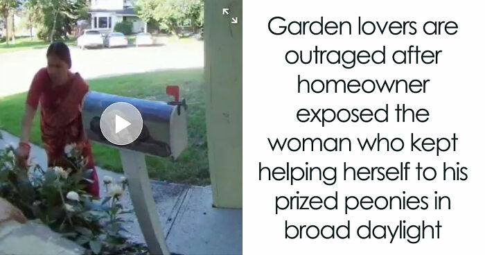 Entitled Neighbor Treats Man’s Garden Like A Free Florist, Gets Caught Redhanded On Camera