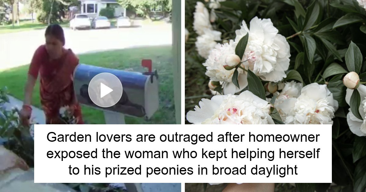 Man Catches Neighbor Who Kept Raiding His Garden In Broad Daylight, Brutally Exposes Her Online