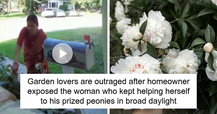 Entitled Neighbor Treats Man’s Garden Like A Free Florist, Gets Caught Redhanded On Camera