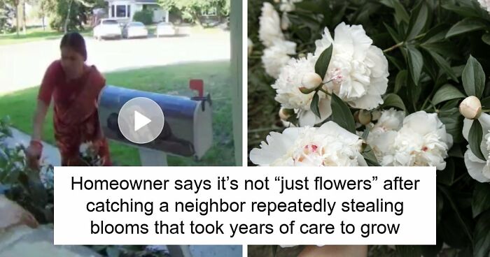 Entitled Neighbor Treats Man’s Garden Like A Free Florist, Gets Caught Redhanded On Camera