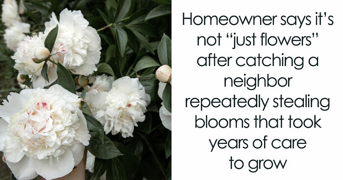 Entitled Neighbor Treats Man’s Garden Like A Free Florist, Gets Caught Redhanded On Camera