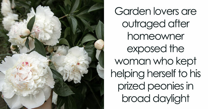 Entitled Neighbor Treats Man’s Garden Like A Free Florist, Gets Caught Redhanded On Camera