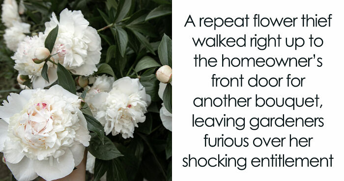 Entitled Neighbor Treats Man’s Garden Like A Free Florist, Gets Caught Redhanded On Camera