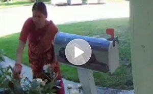 Entitled Neighbor Treats Man’s Garden Like A Free Florist, Gets Caught Redhanded On Camera