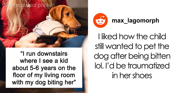Woman Finds Herself In Every Dog Owner’s Worst Nightmare, But The Neighbor’s Parents Become The Bigger Problem