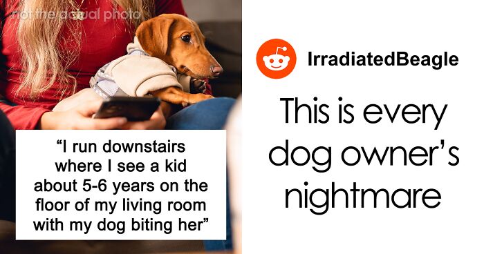 Woman Finds Herself In Every Dog Owner’s Worst Nightmare, But The Neighbor’s Parents Become The Bigger Problem