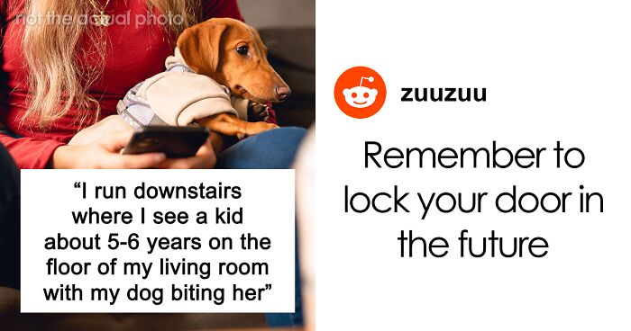 Woman Finds Herself In Every Dog Owner’s Worst Nightmare, But The Neighbor’s Parents Become The Bigger Problem