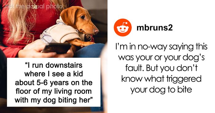Woman Finds Herself In Every Dog Owner’s Worst Nightmare, But The Neighbor’s Parents Become The Bigger Problem