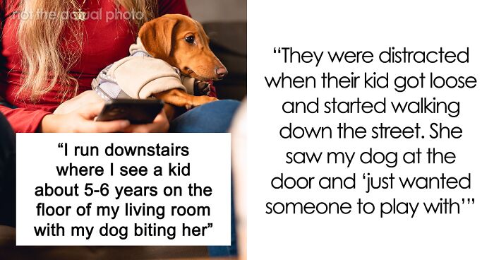 Woman Finds Herself In Every Dog Owner’s Worst Nightmare, But The Neighbor’s Parents Become The Bigger Problem