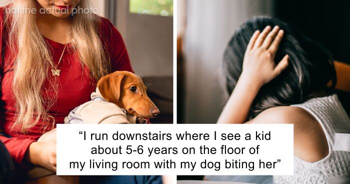 Woman Finds Herself In Every Dog Owner’s Worst Nightmare, But The Neighbor’s Parents Become The Bigger Problem