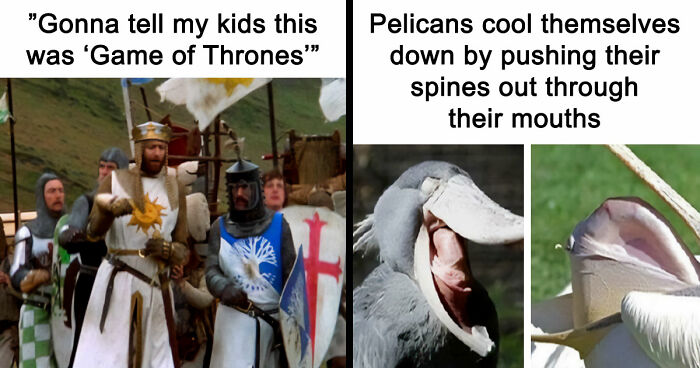 45 Posts That Are A Mix Of Intelligentsia, Blatant Foolishness And Geek Things (New Pics)
