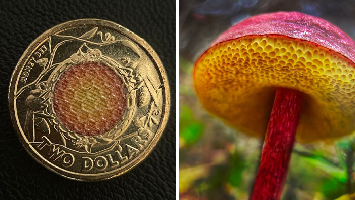 62 Posts That Capture The Land Of ‘Nope’ At Its Finest (New Pics)
