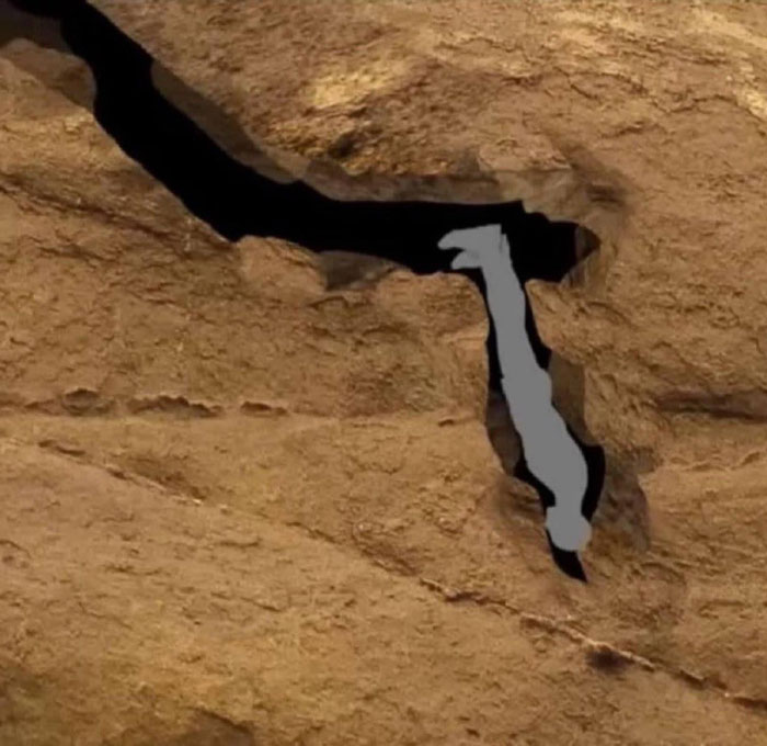 An illustration showing a person trapped headfirst in the narrow passage of Nutty Putty Cave.