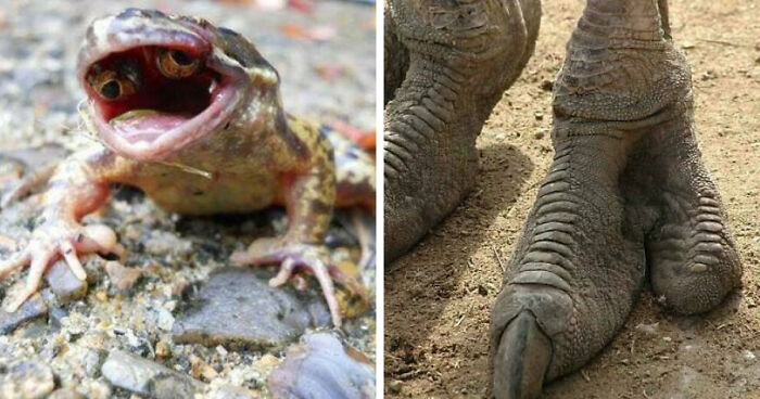 77 Creepy Images That Might Be Your Tonight’s Nightmare Fuel