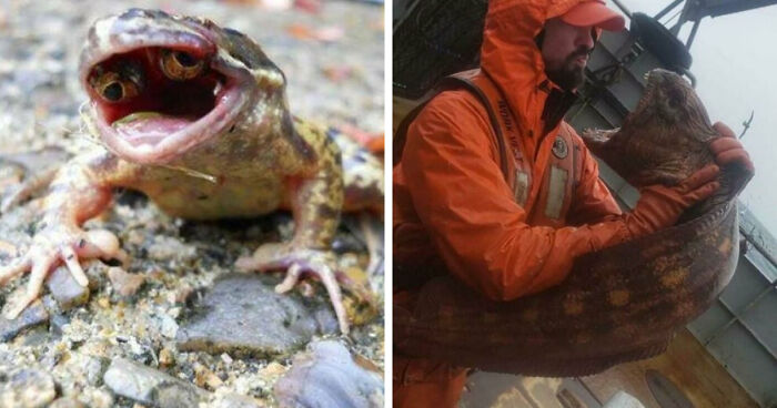 77 Creepy Images That Might Be Your Tonight’s Nightmare Fuel
