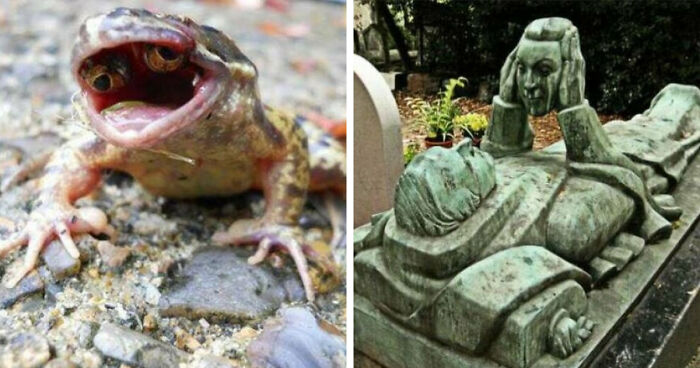 77 Creepy Images That Might Be Your Tonight’s Nightmare Fuel