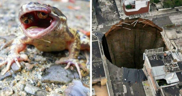77 Creepy Images That Might Be Your Tonight’s Nightmare Fuel