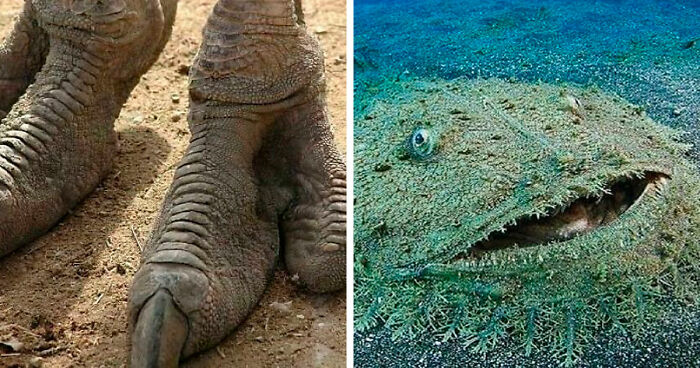 77 Creepy Images That Might Be Your Tonight’s Nightmare Fuel