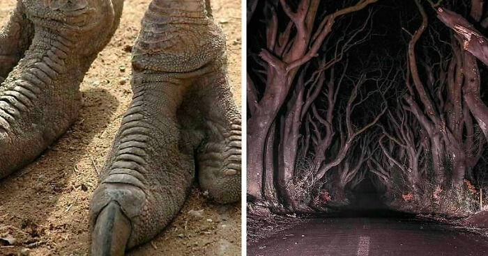 77 Creepy Images That Might Be Your Tonight’s Nightmare Fuel
