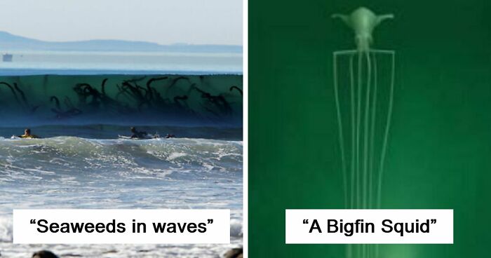 77 Creepy Images That Might Be Your Tonight’s Nightmare Fuel