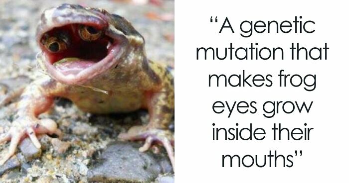 77 Creepy Images That Might Be Your Tonight’s Nightmare Fuel
