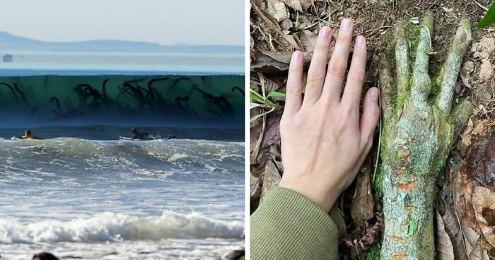 77 Creepy Images That Might Be Your Tonight’s Nightmare Fuel