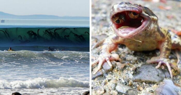 77 Creepy Images That Might Be Your Tonight’s Nightmare Fuel
