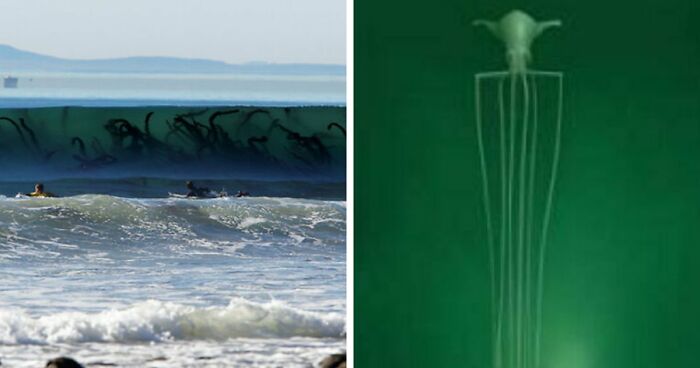 77 Creepy Images That Might Be Your Tonight’s Nightmare Fuel