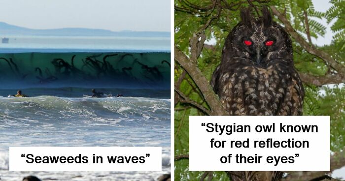 77 Creepy Images That Might Be Your Tonight’s Nightmare Fuel