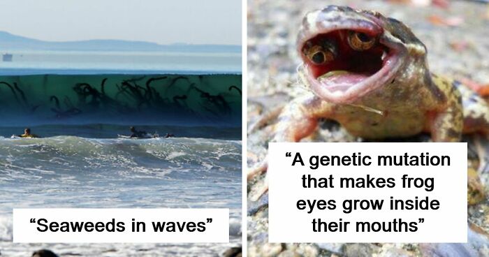 77 Creepy Images That Might Be Your Tonight’s Nightmare Fuel