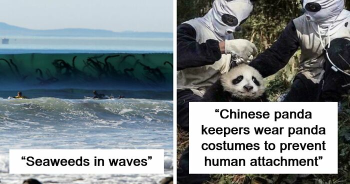 77 Creepy Images That Might Be Your Tonight’s Nightmare Fuel