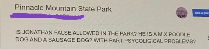 Elderly people and unsupervised Internet access: A user asks a state park if their dog, Jonathan False, a poodle/sausage mix with psychological problems, is allowed.