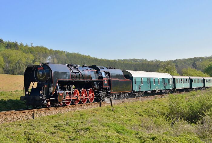A vintage steam train with a black locomotive and green carriages travels through a lush green landscape, evoking history.
