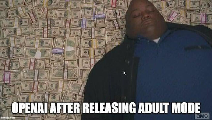 A funny AI meme of a man sleeping on a bed of money with the text OpenAI after releasing adult mode.
