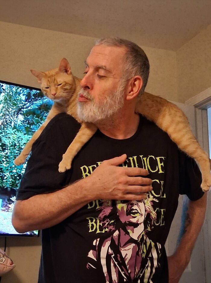 My Husband And Our Orange Son, Emmett