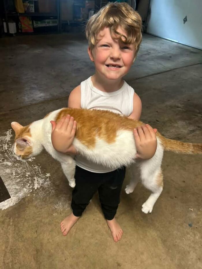 My Orange And His Brother