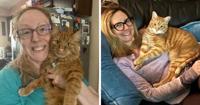 35 Pet Owners Share Their Orange Cats That Could Almost Pass As Their Real Family Members