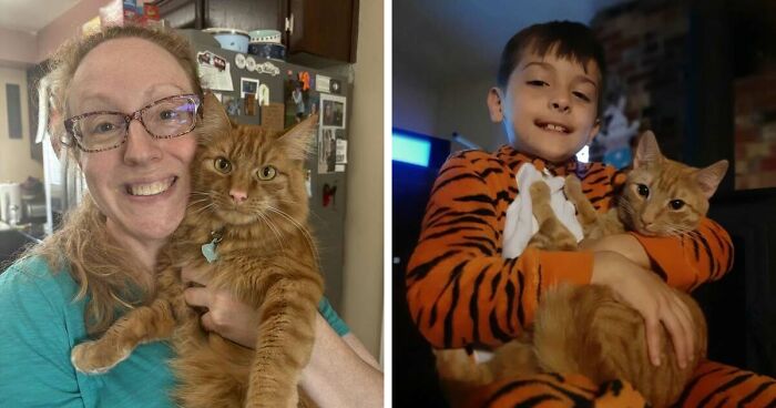 35 Pet Owners Share Their Orange Cats That Could Almost Pass As Their Real Family Members