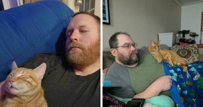 35 Pet Owners Share Their Orange Cats That Could Almost Pass As Their Real Family Members