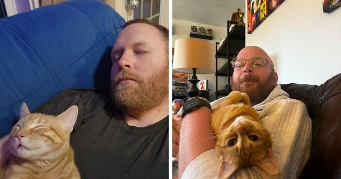 35 Pet Owners Share Their Orange Cats That Could Almost Pass As Their Real Family Members