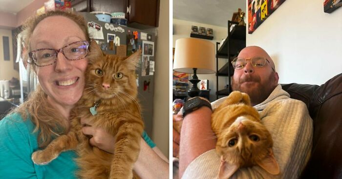 35 Pet Owners Share Their Orange Cats That Could Almost Pass As Their Real Family Members