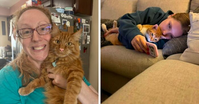35 Pet Owners Share Their Orange Cats That Could Almost Pass As Their Real Family Members