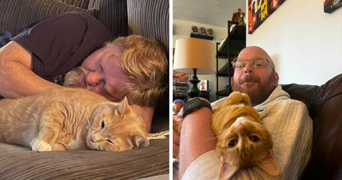 35 Pet Owners Share Their Orange Cats That Could Almost Pass As Their Real Family Members