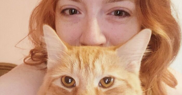35 Pet Owners Share Their Orange Cats That Could Almost Pass As Their Real Family Members