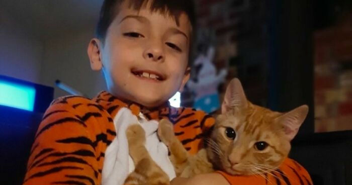 35 Pet Owners Share Their Orange Cats That Could Almost Pass As Their Real Family Members
