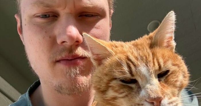 35 Pet Owners Share Their Orange Cats That Could Almost Pass As Their Real Family Members